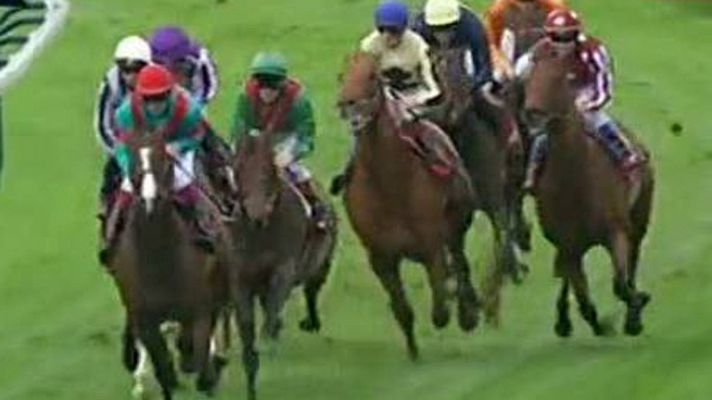 Telediario 1 - Un caballo español brilla en el Gran Criterium de París