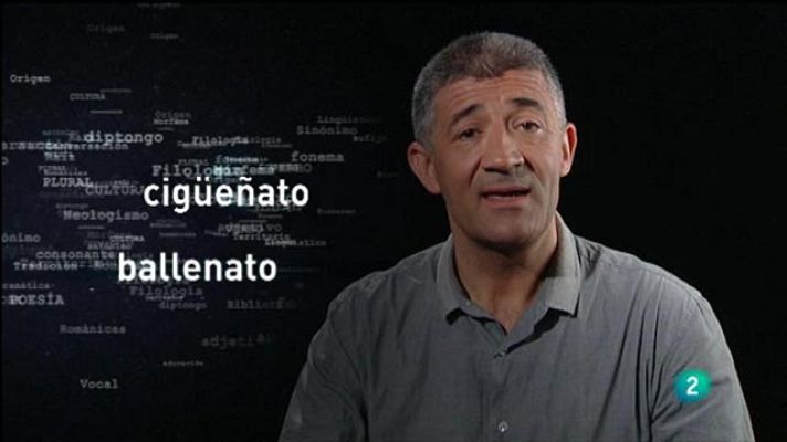 Para todos La 2 - Crías animales y la ternura