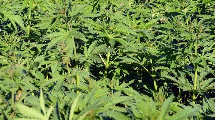 Informativo de Madrid - Informativo de Madrid - 08/10/13