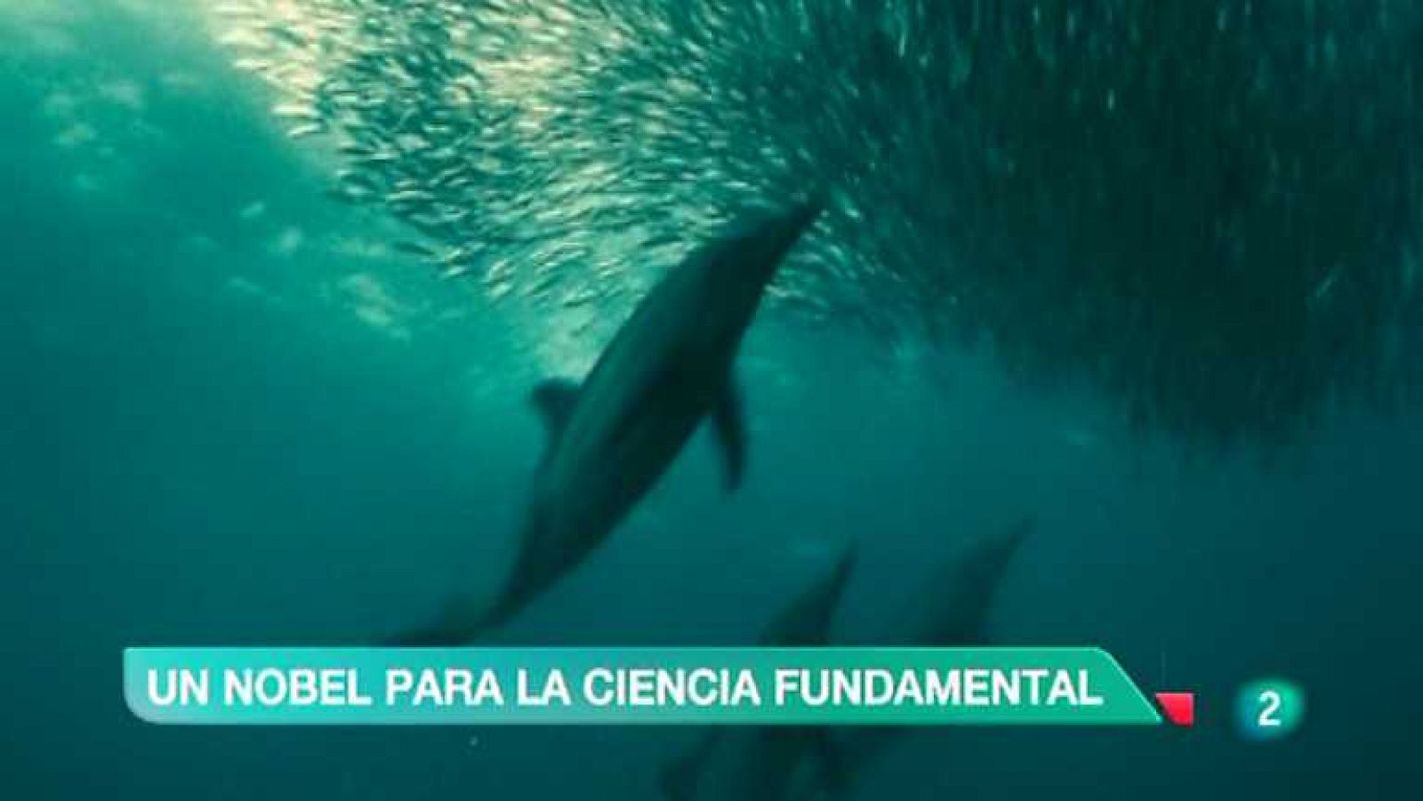 La 2 Noticias - 08/10/12 - Ver ahora