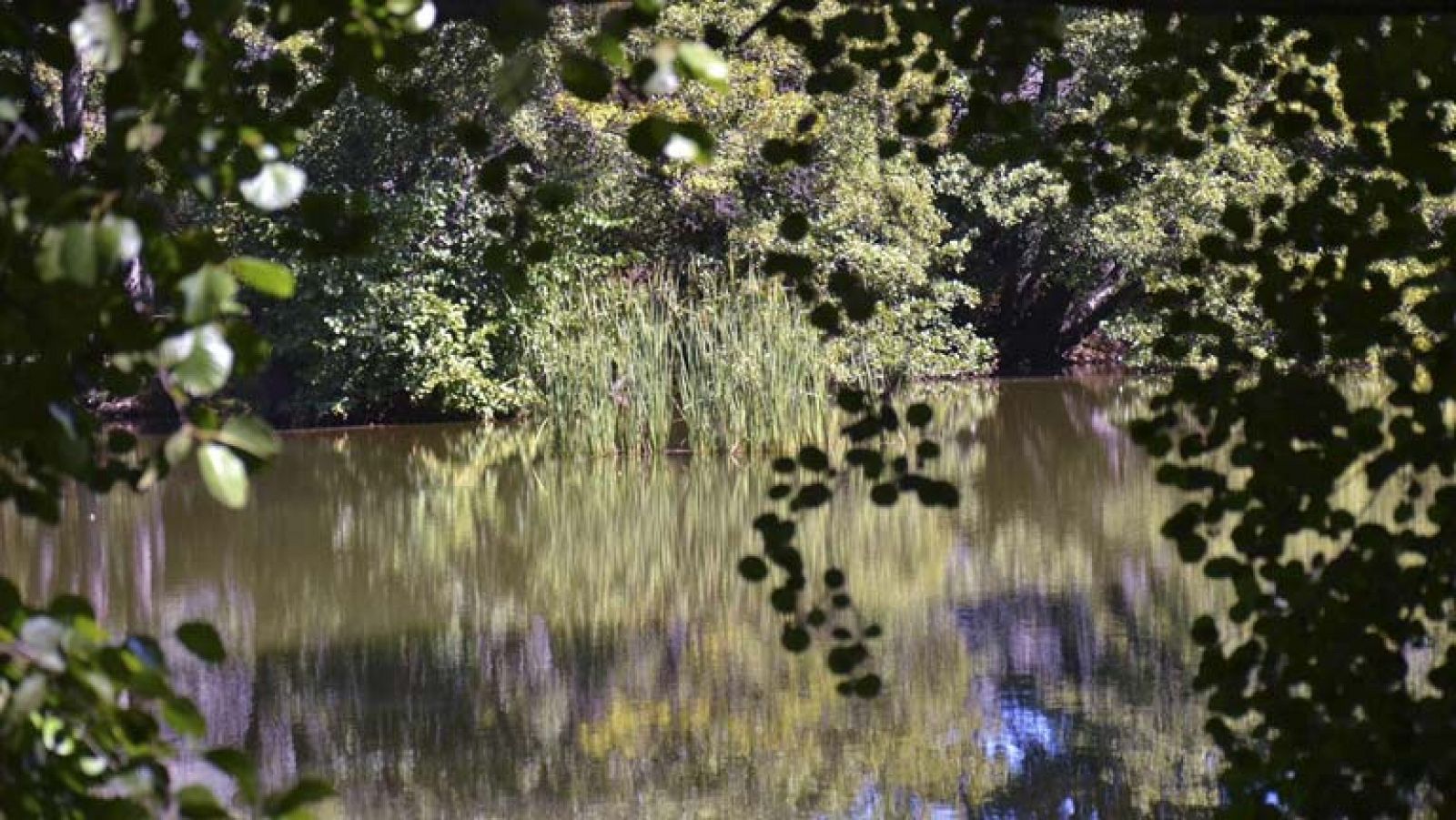 El tiempo: Bajan las temperaturas en el norte | RTVE Play