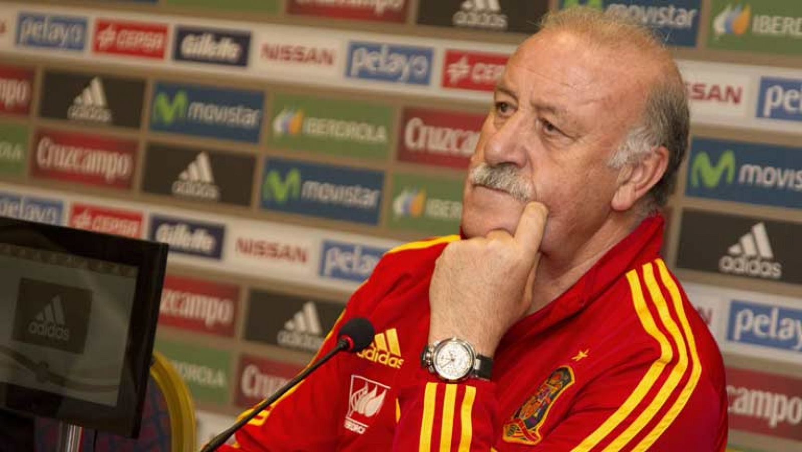 El seleccionador español Vicente del Bosque ha calificado de "finales" los dos últimos partidos de clasificación al Mundial 2014 que la Roja disputa ante Bielorrusia y Georgia, y aunque ha admitido que están "en una situación ideal" para clasificarse y ha pedido a sus jugadores que no se contagien de la euforia.