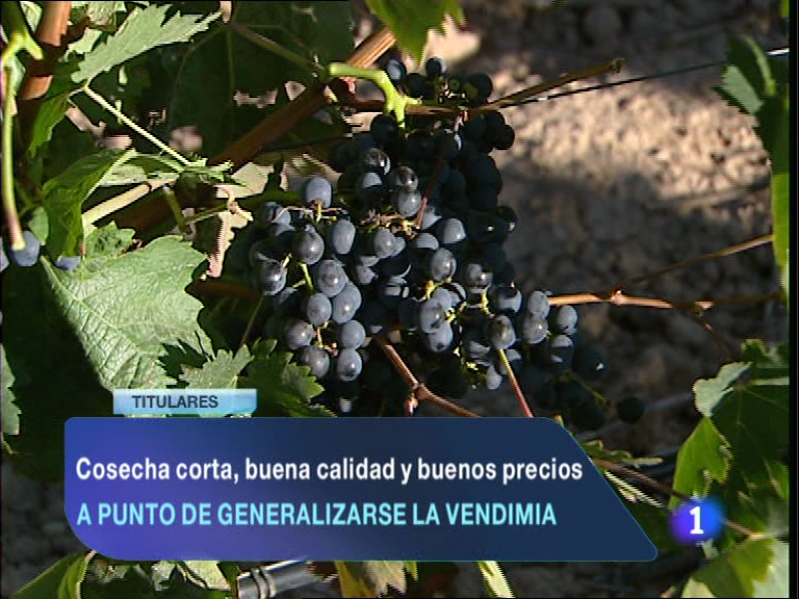 Informativo Telerioja 2 - 11/10/13 | Ver