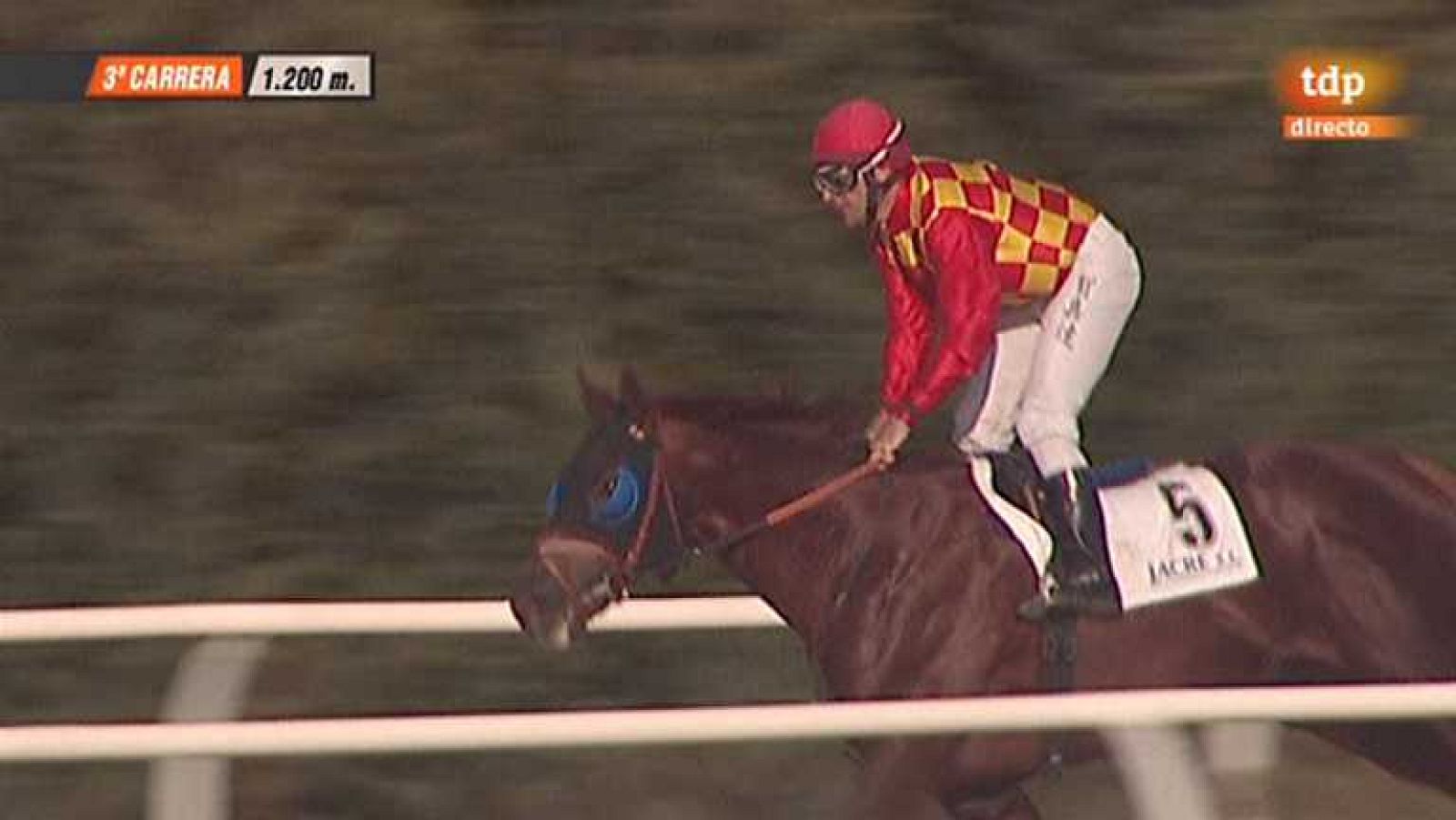 Turf - 11/10/13 - Ver ahora