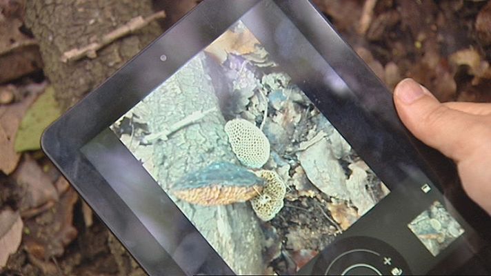 Telediario 1 - Buscar setas por GPS