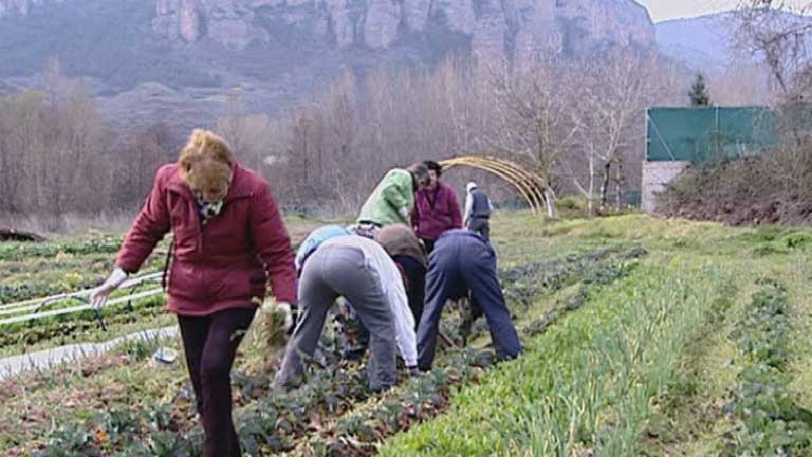 Telediario 1: Mujeres rurales | RTVE Play