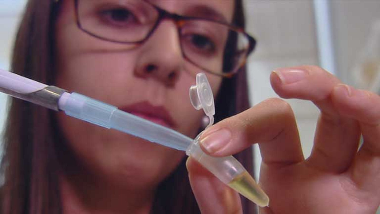 14 jóvenes científicos españoles consiguen una subvención de la Unión Europea