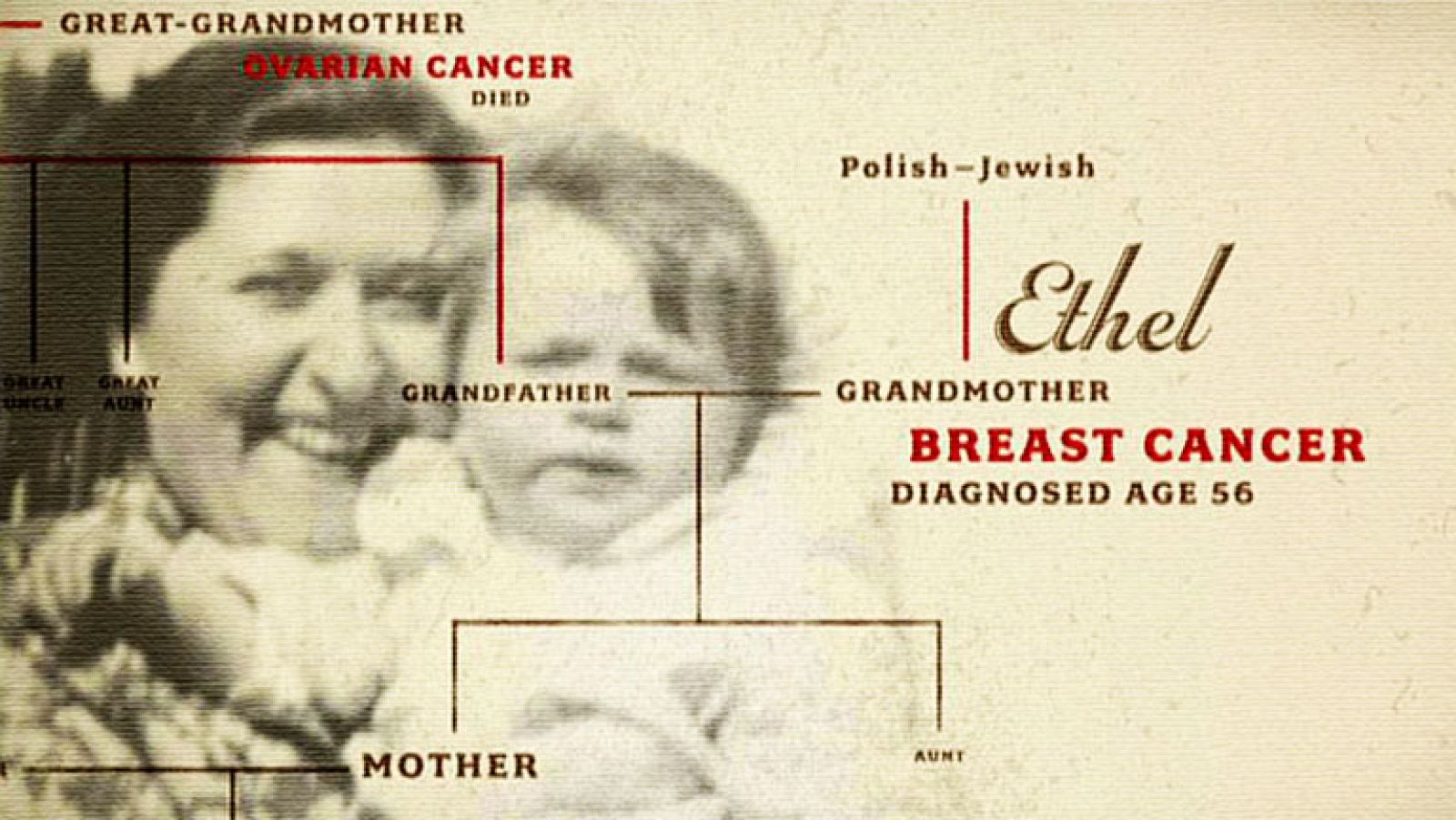 Documentos TV - En la familia - Avance - Documentos TV | Ver