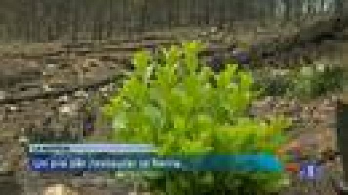 Informatiu Balear - Informatiu Balear - 14/10/13