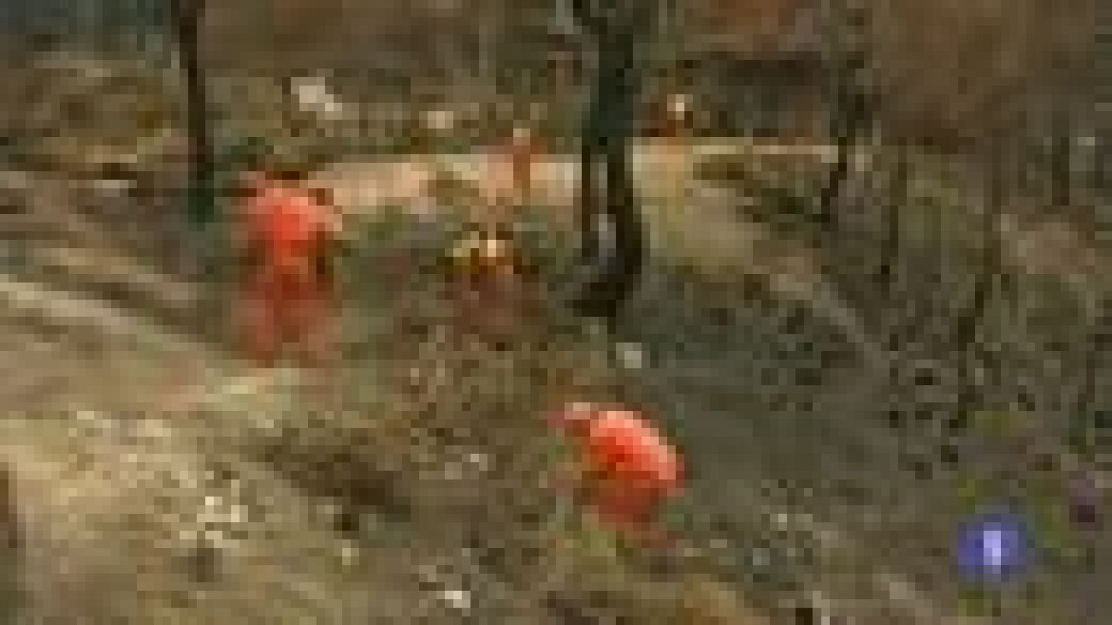 Informatiu Balear 2 - 14/10/13 | Ver