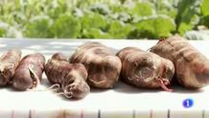 RTVE Cocina - Morcilla de Burgos