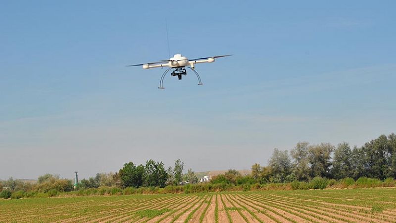 Vehículo Aéreo No tripulado en un campo de maíz