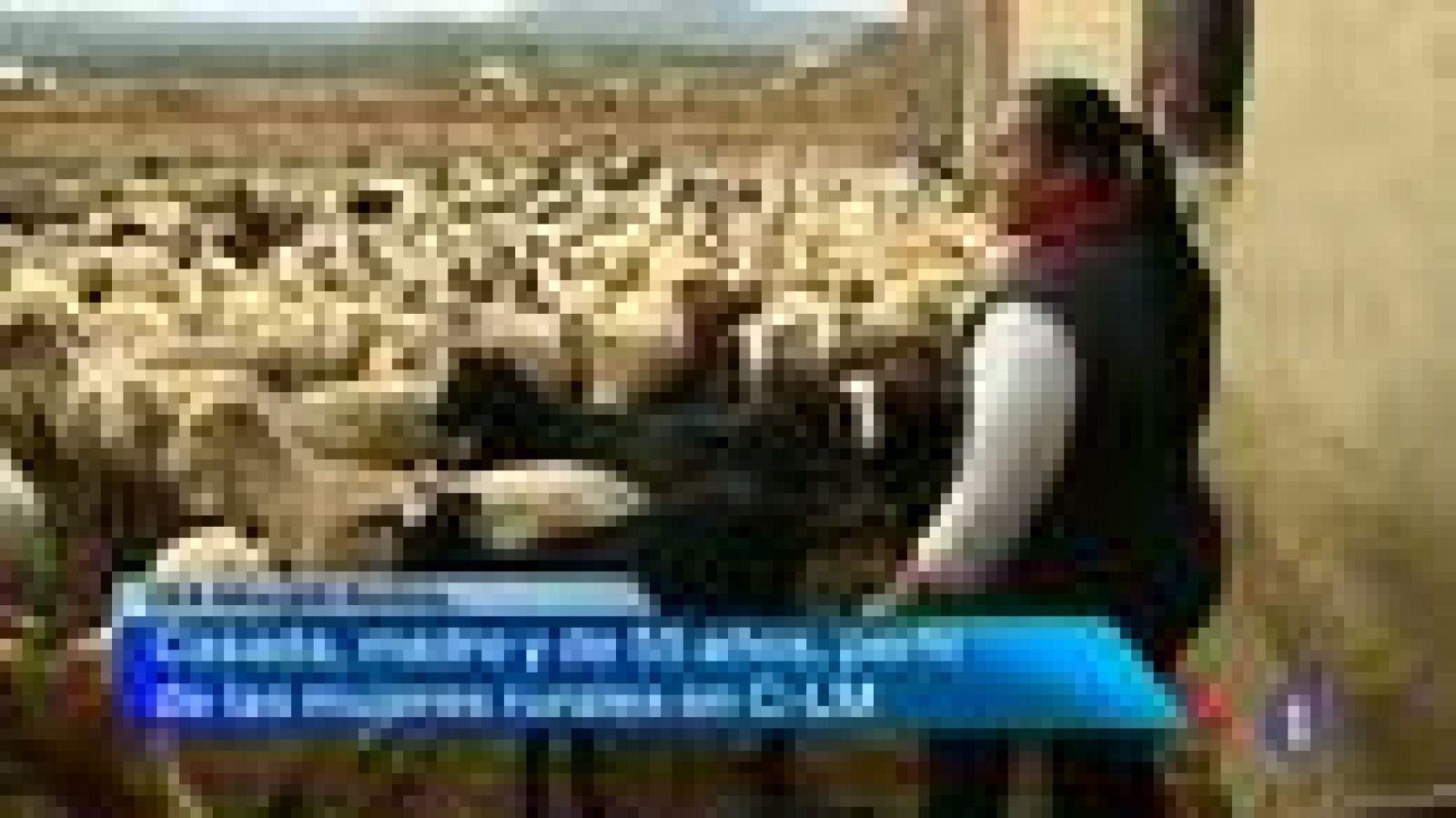 Noticias de Castilla-La Mancha. 15/10/13 | Ver