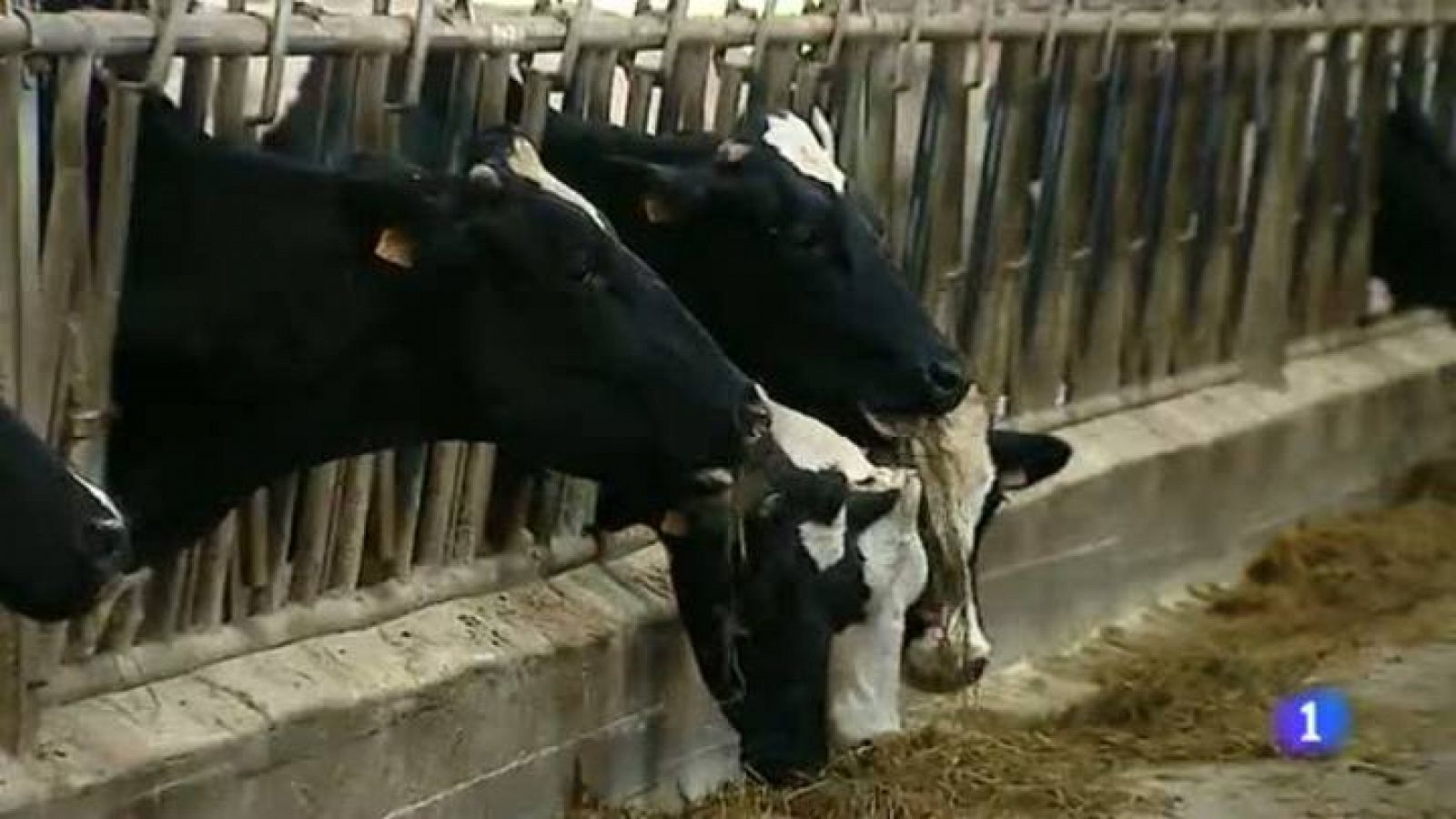 Telecantabria - 15/10/13