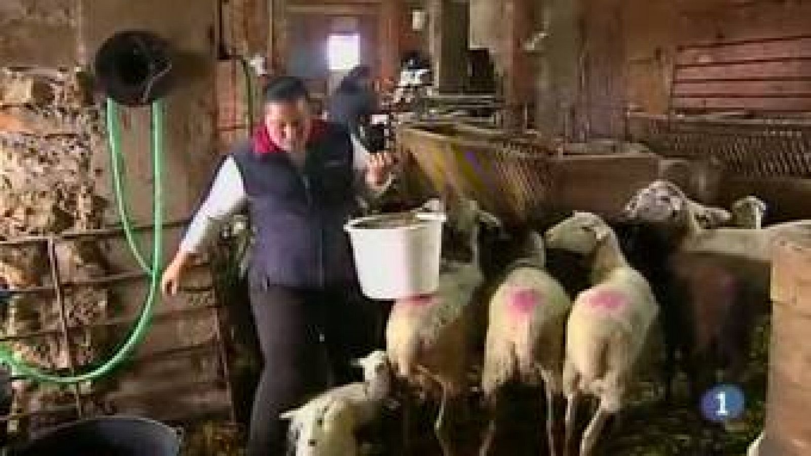 Noticias de Castilla La Mancha 2. (15/10/13) | Ver