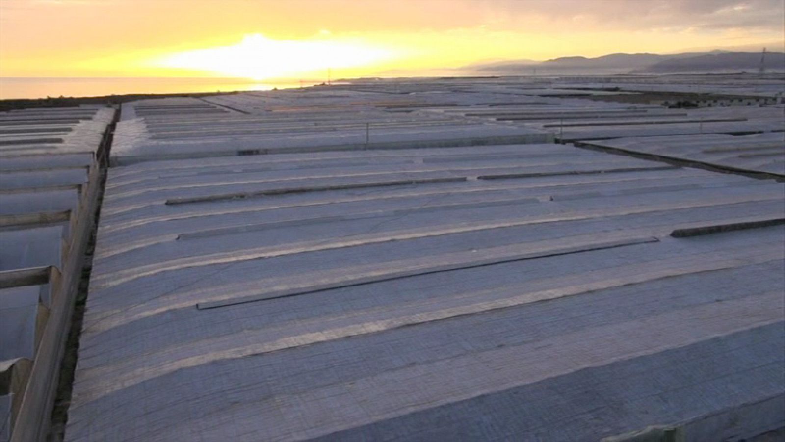 España a ras de cielo - La historia de los invernaderos de El Ejido