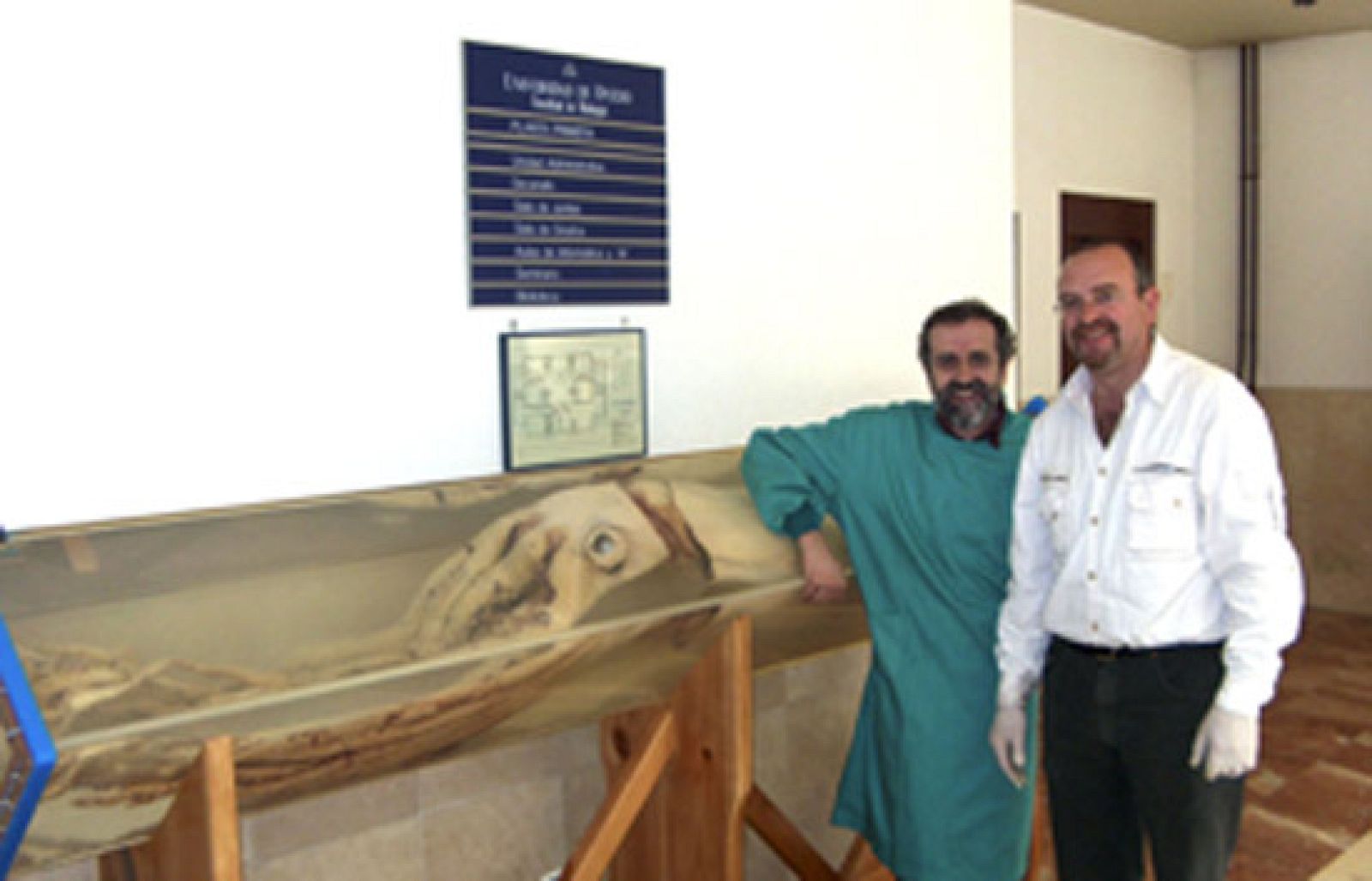 2 calamares gigantes camino de Washington - Ciencia y tecnología en Rtve.es | Ver