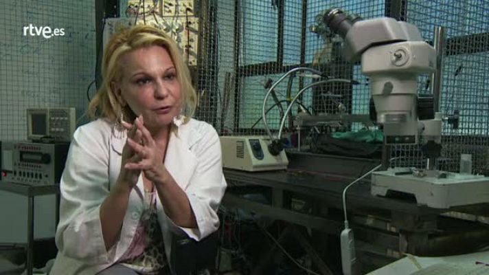 Crónicas - "La investigación necesita una financiación estable"