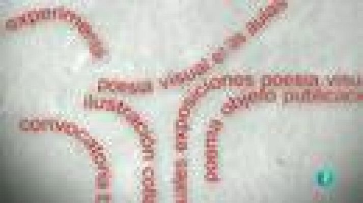 La aventura del Saber - Fernando Vicente