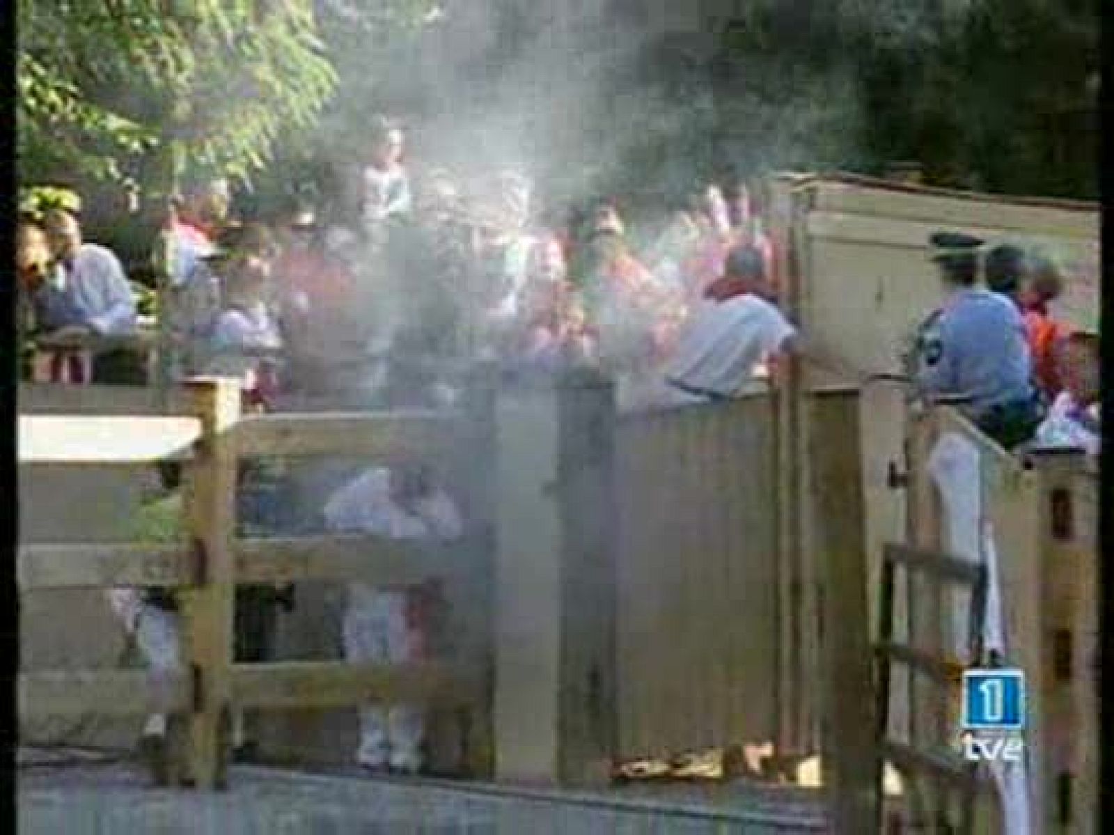 Séptimo encierro Sanfermines 2007 | Ver