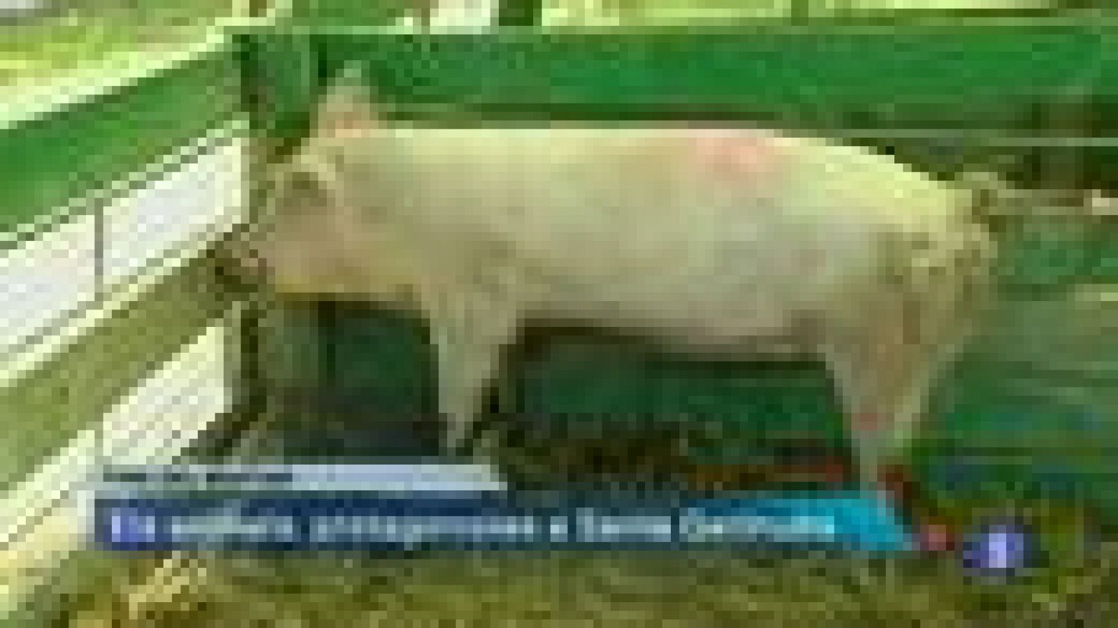 Informatiu Balear en 2' - 18/10/13 | Ver