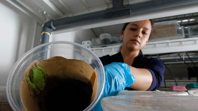 Yacimientos de empleo en nuevas tecnologías y medio ambiente