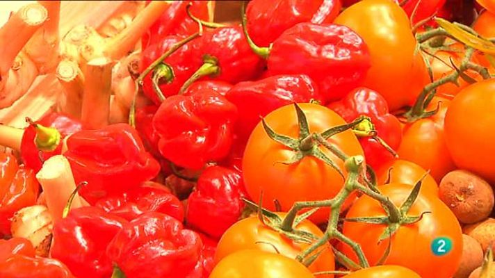 Agrosfera - Agrosfera - 19/10/13