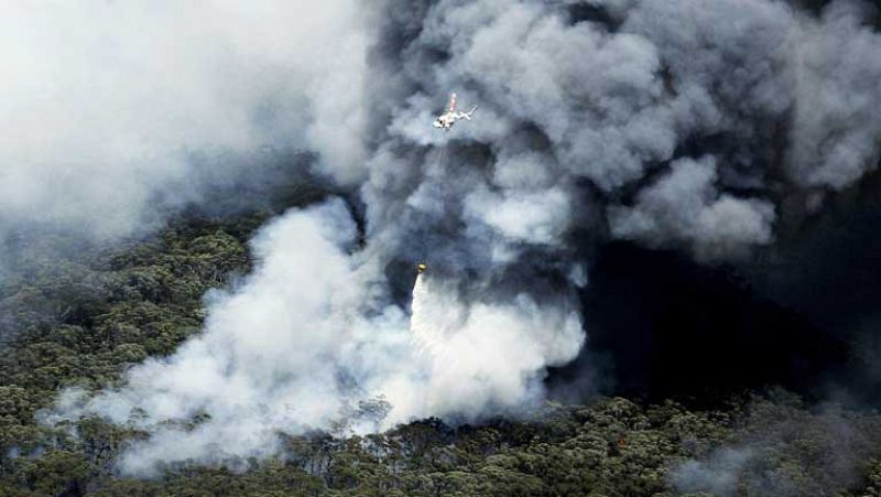 Un centenar de incendios forestales destruyen más de 200 viviendas en Australia
