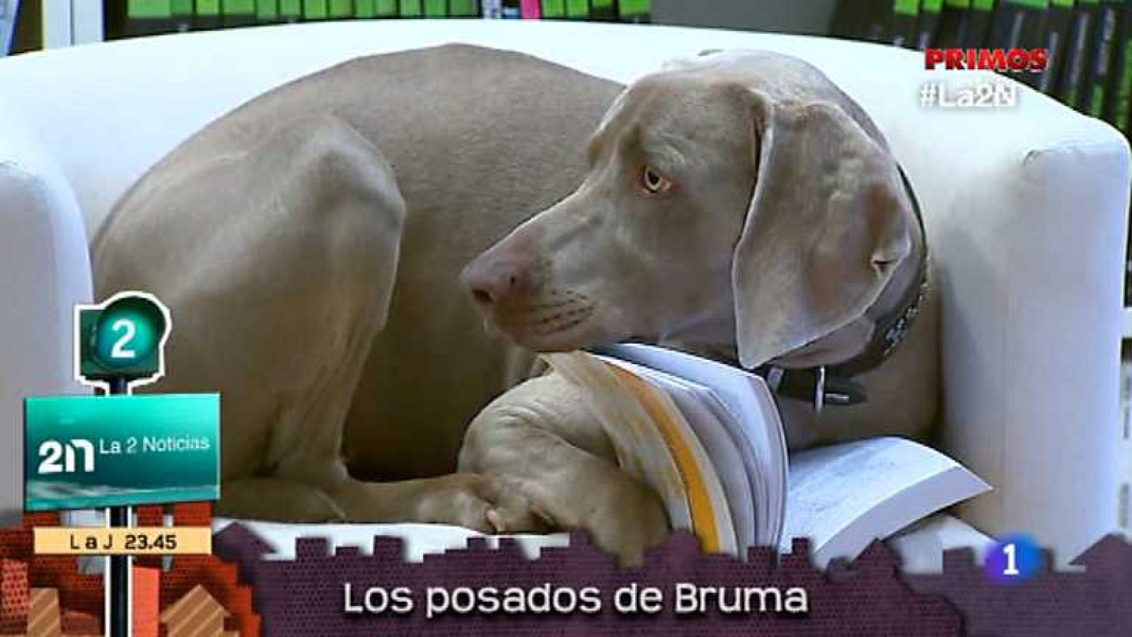 Lo que hay que ver - 20/10/13 - Ver ahora