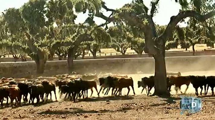 Un país para comérselo - Salamanca