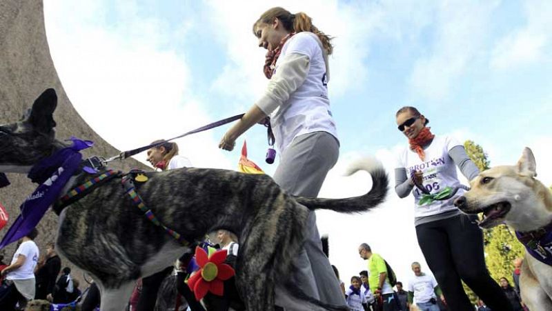 Cientos de perros y sus dueños participan en Madrid en el "Perrotón 2013" 