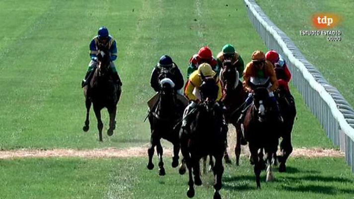 Turf - Turf - 20/10/13