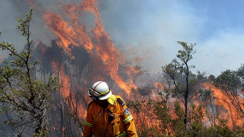 El Gobierno australiano declara el estado de emergencia en Nueva Gales del Sur por los incendios 