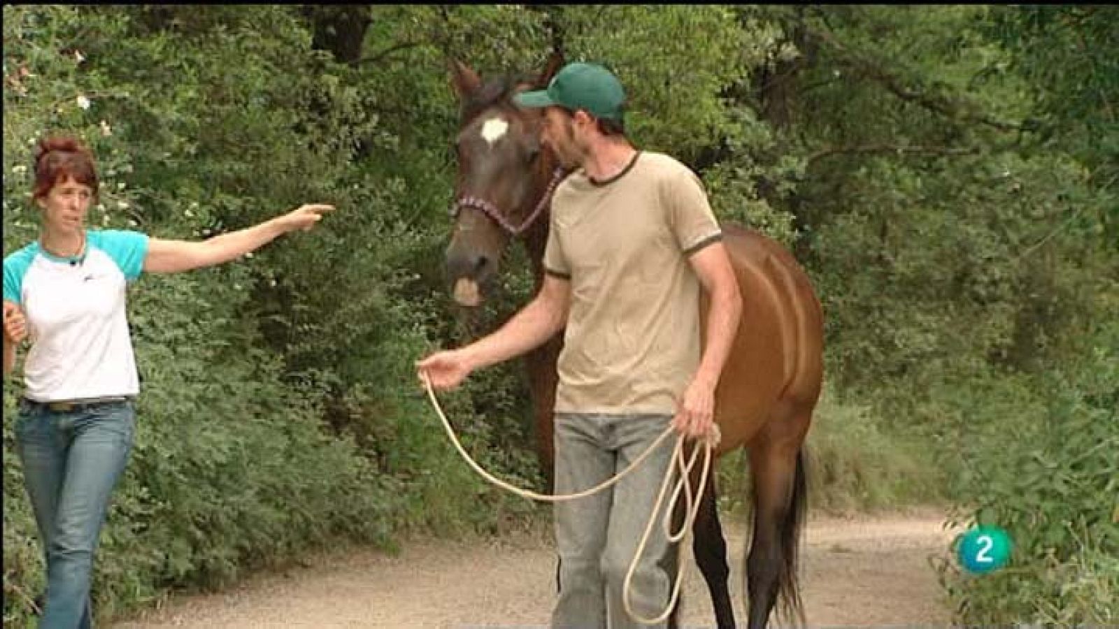 Para Todos La 2 - Vídeo: Quiropráctica para caballos