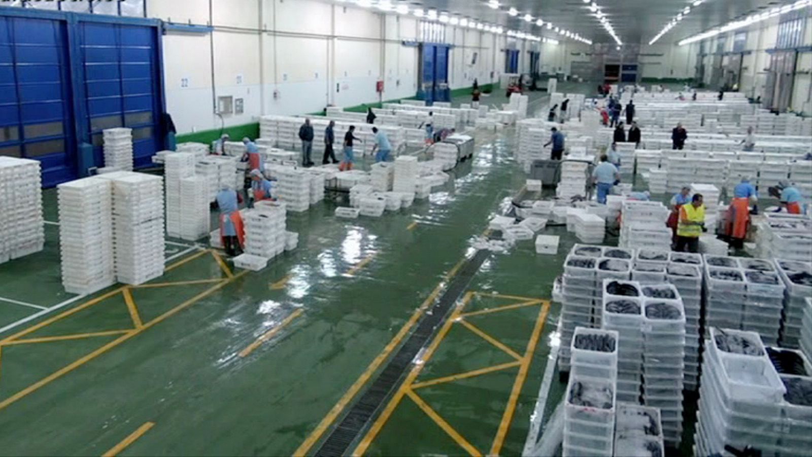 España a ras de cielo - El protocolo del pescado en el Puerto de Vigo