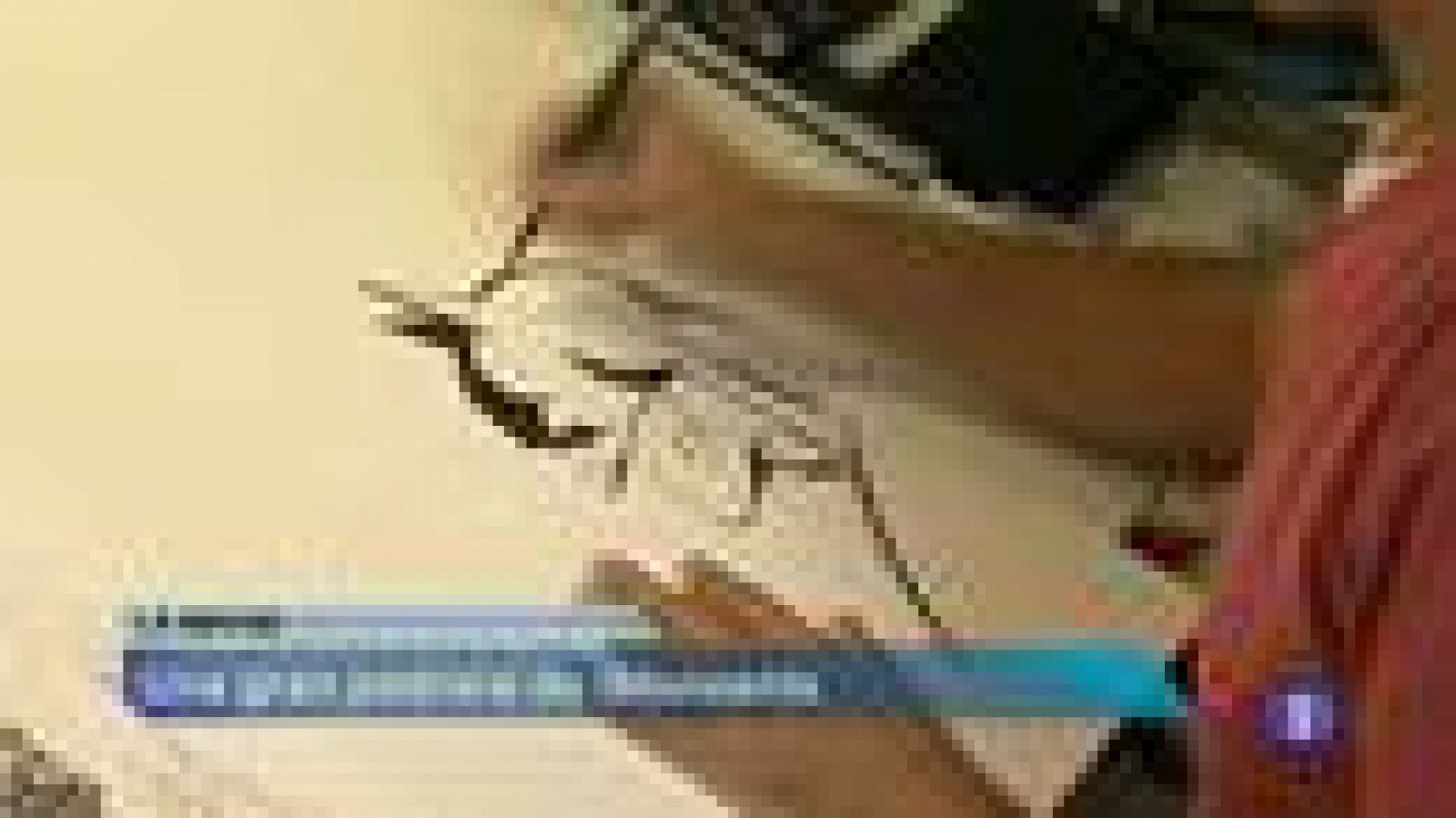 Informatiu Balear - 23/10/13 | Ver