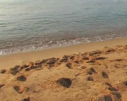  - Spot Radio 3 (Bruno Vázquez)