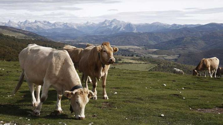 El tiempo - Nubosidad con alguna precipitación