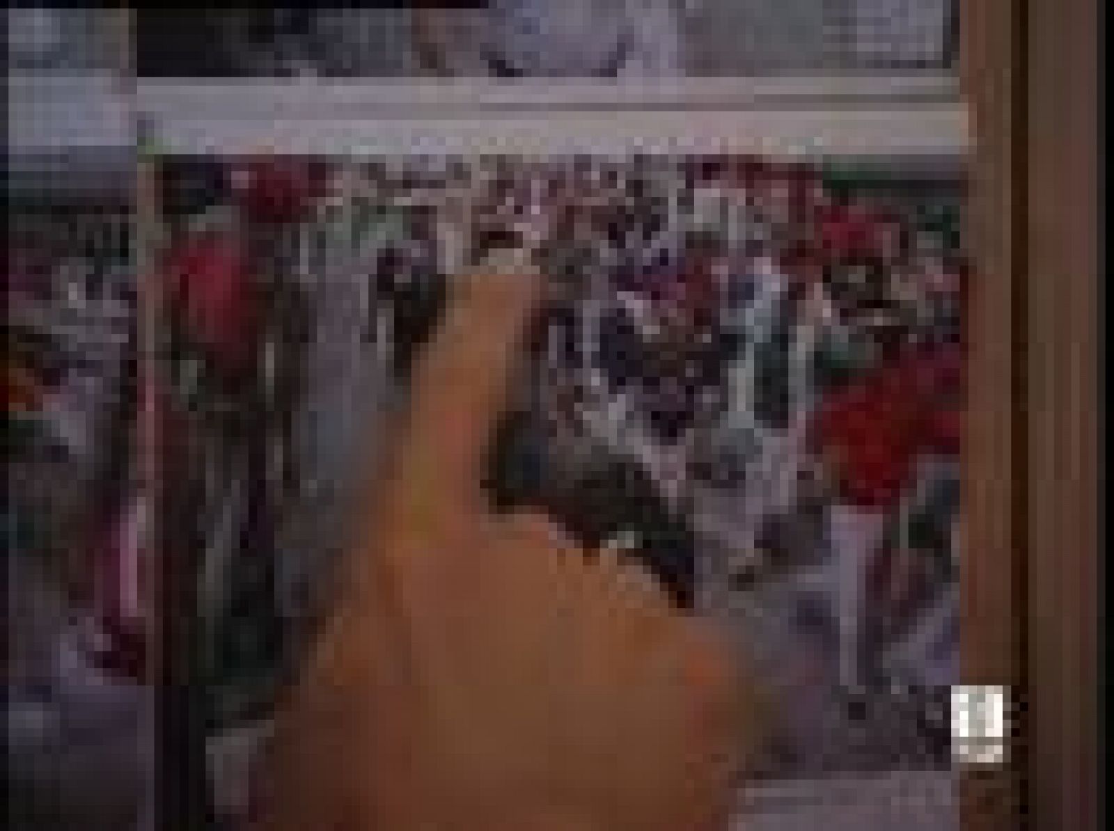 Cada mañana, tras el encierro , se puede comprobar si se ha salido en una foto | Ver