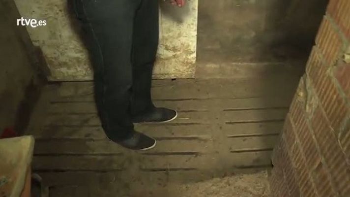 Repor - Jaume Carbonell - granja porcina ec