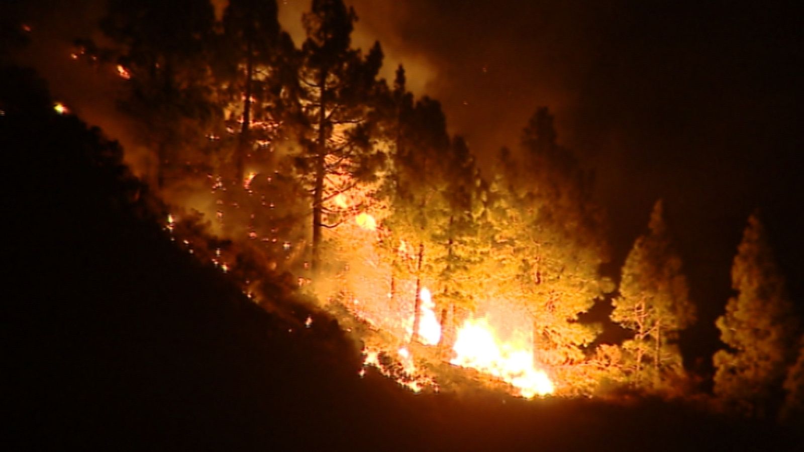 Canarias en 2' - 25/10/13 | Ver