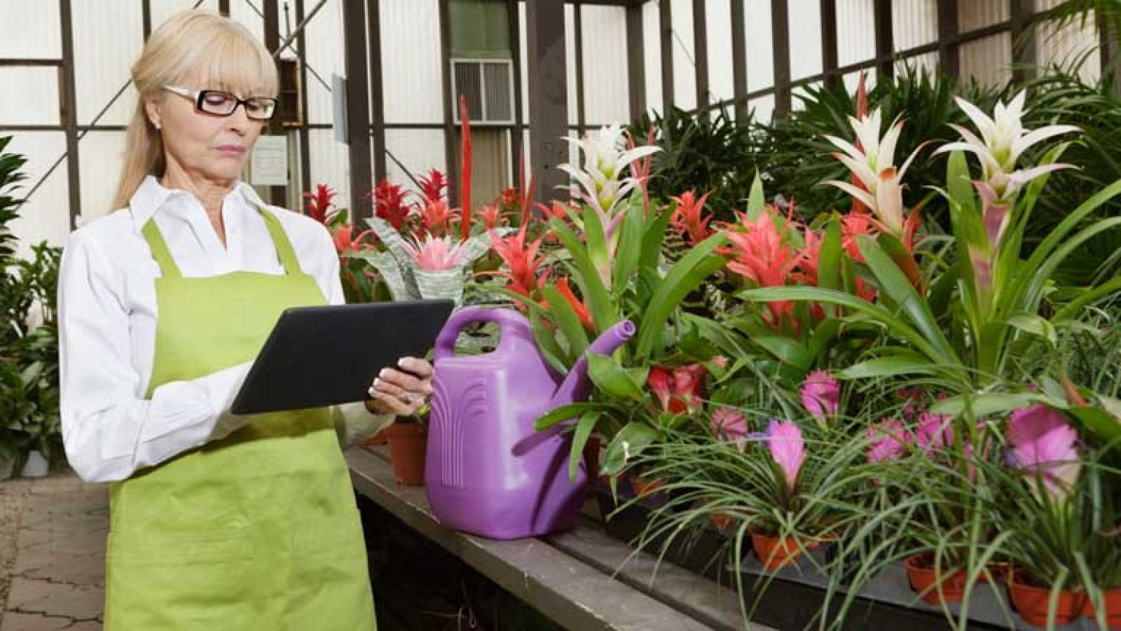 Zoom Net - Premios ADSLZone, Flower Power y Assassin's Creed - 26/10/13 - Ver ahora