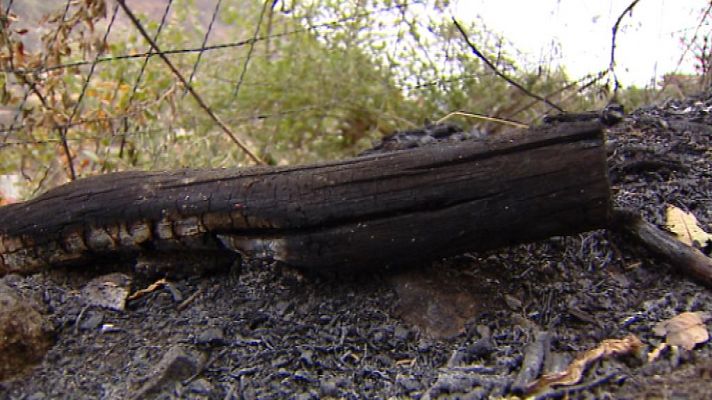 Telecanarias - Telecanarias - 26/10/13