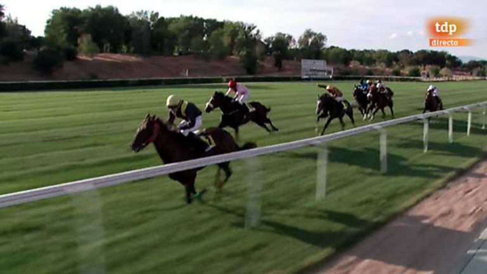 Turf - 27/10/13 - Ver ahora