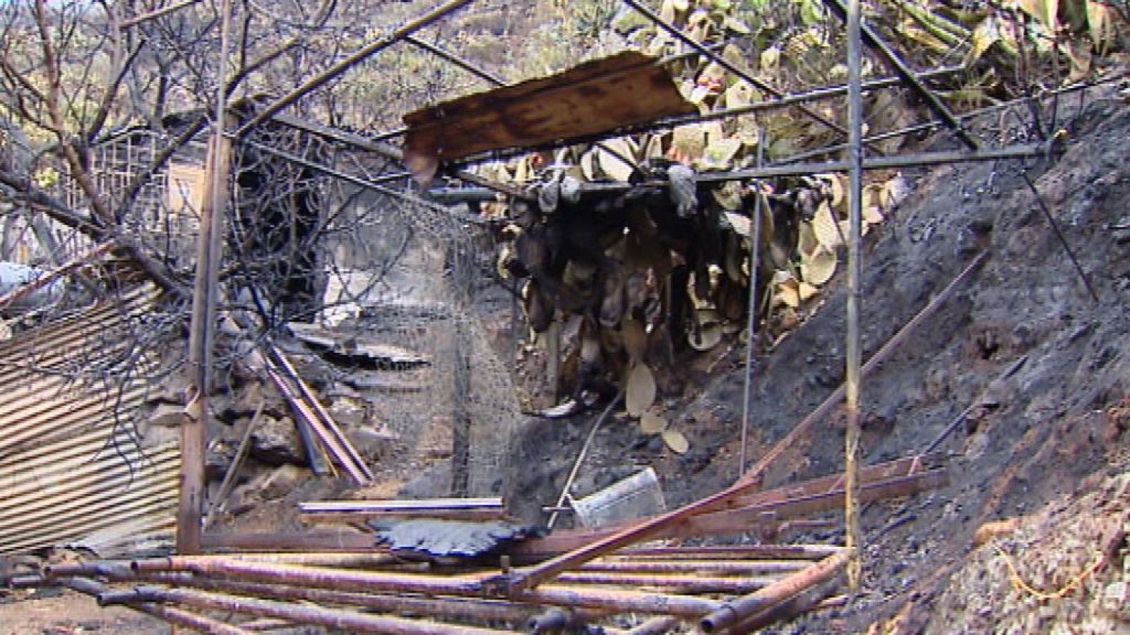 Telecanarias - 27/10/13 | Ver