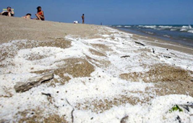  - Alarma entre los bañistas