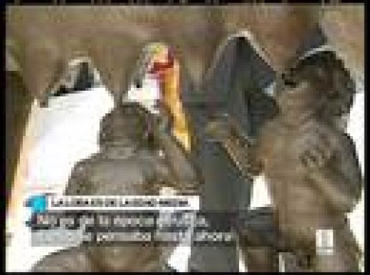  - La loba es medieval y no etrusca