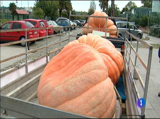 Panorama Regional - Asturias en 2' - 28/10/13