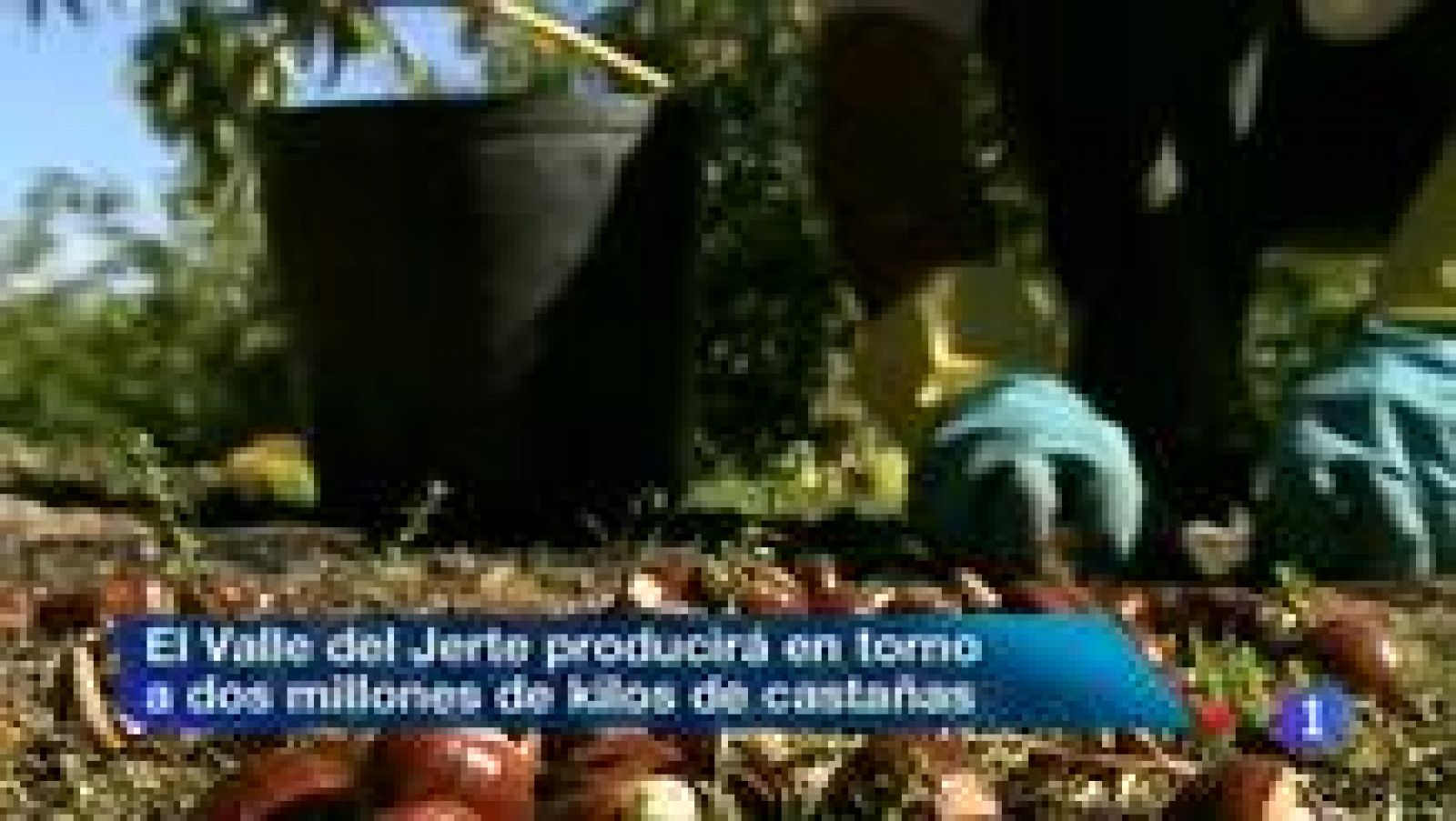 Noticias de Extremadura - 28/10/13 | Ver