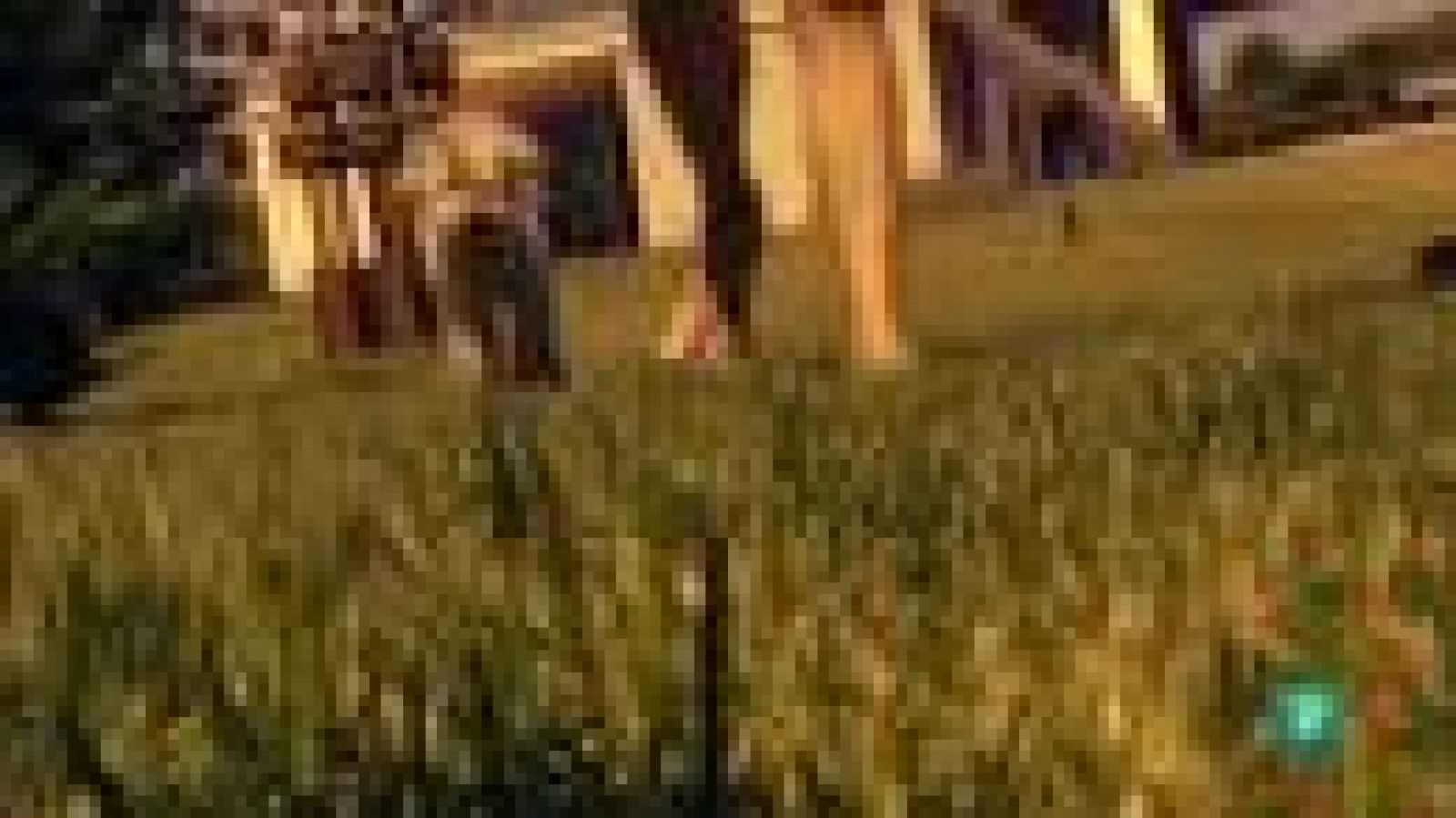 Fábrica de ideas - Invierte: Gudog | Ver